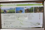 Nun ging es auf den Wald-Abenteuer-Pfad-