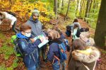 Mit Becherlupen Lebewesen auf dem Waldboden beobachten und bestimmen