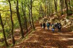 Bei schönstem Herbstwetter ging es wieder zurück zur Schule.