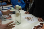 experimente_physik_2_20141215_1634530424