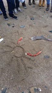 franzoesisch-bretagne-fahrt-03